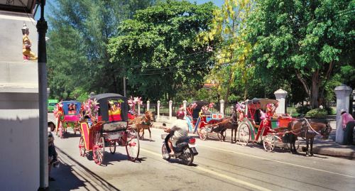 Lampang horses